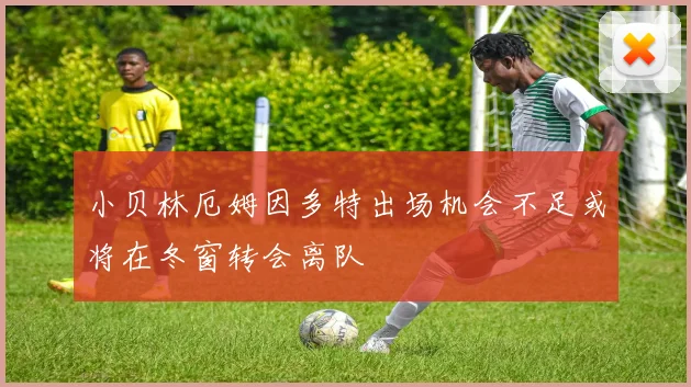 小贝林厄姆因多特出场机会不足或将在冬窗转会离队