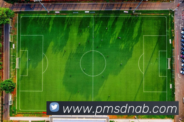 爱游戏体育平台生态图